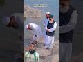 #islamicstatus #youtube #birds #nest #nest #duet #animals #animaltypes #wildlife #funny #automobile