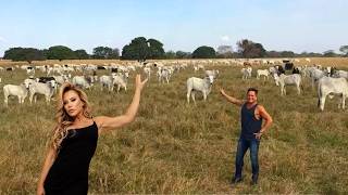 Inside Talismã Farm: Poliana Rocha's Millionaire Rural Empire