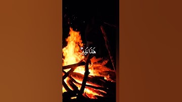 سوره النجم وان الى ربك المنتهى و هذا نذير من النذر الاولى بصوت الشيخ محمد اللحيدان