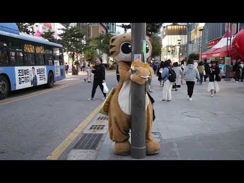 JHKTV] 신촌명물고양이 그리움에 쩔어  shinchon special cat  I&amp;#39;m sick of <strong>longing</strong>