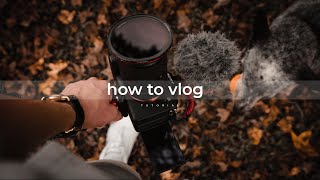 Celebrity A Complete Guide to Vlogging Wealth