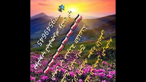 الشيخ وليد راجح سورة الأعلى