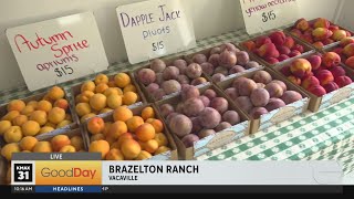 Brazelton Ranch in Vacaville has fresh produce, flowers and more!