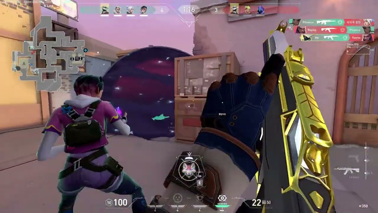 『Florescence_VLRT』ㅣVALORANT MONTAGE #01