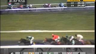 Turfway Park 01092016 Race 8