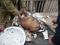 Самое вкусное блюдо из баранины - Кюр  (Калмыкия)
