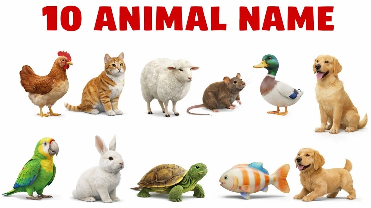 जानवरों के नाम | 10 animals name for kidsI Learn Animals I Names in English with Sounds& Fun