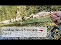 Fly fishing in slovenia  soa  rainbow trout from soa  part 1