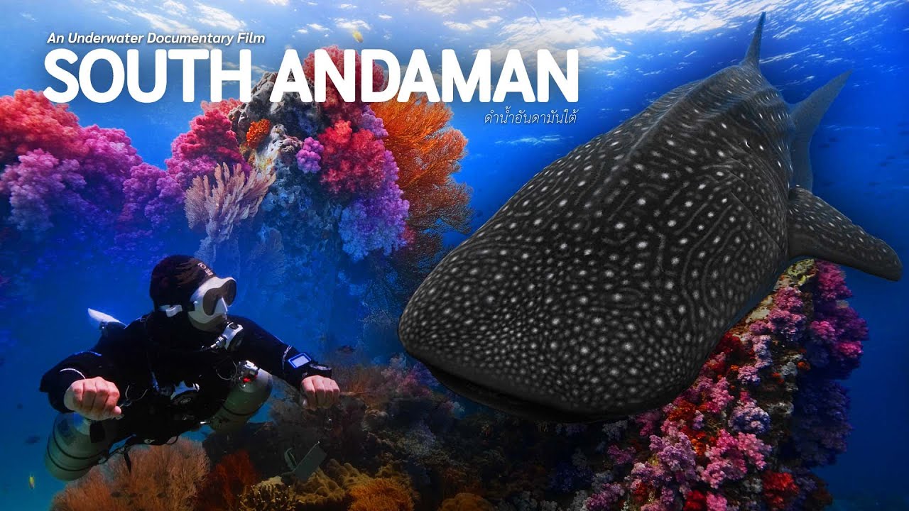 ดำน้ำอันดามันใต้ An Underwater Documentary Film South Andaman