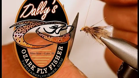 Davy Wotton SLF Trans Caddis