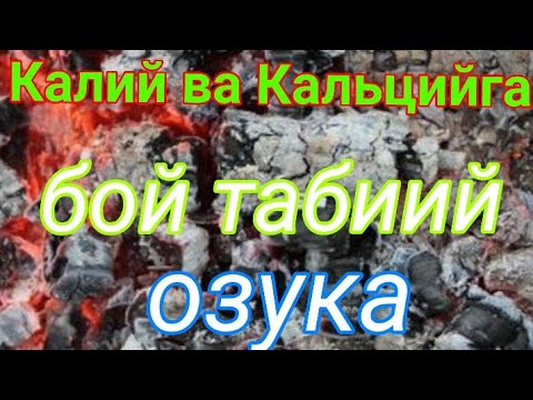 Video: Yelimli bo'yoq: tarkibi, navlari, afzalliklari va kamchiliklari