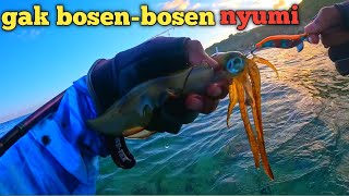 Nyumi di akhir musimnya ya begini, tetap menyala bosku|| mancing cumi terus