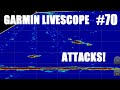 70 garmin panoptics livescope attacks gpsmap  gls10  lvs32