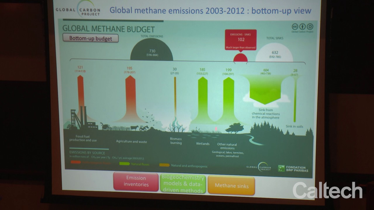The Global Carbon Project: Methane