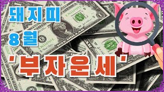 8월돼지띠 부자운세 #띠별운세 #운세 #운수