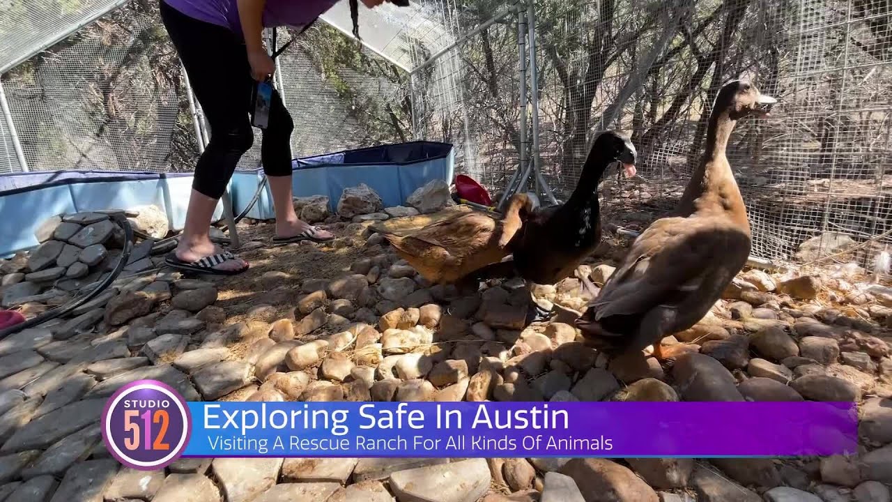 Exploring Safe In Austin