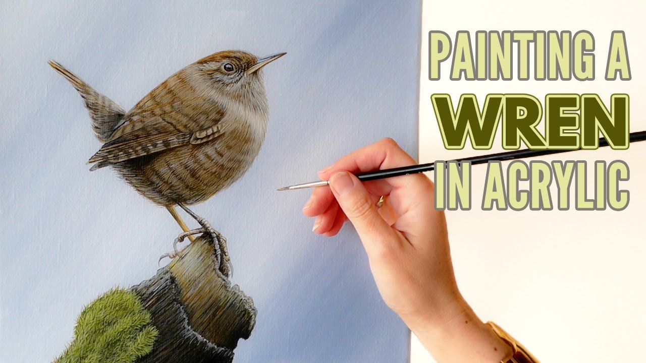 Time-Lapse | Painting a Wren in Acrylic | Realistic Bird Painting |