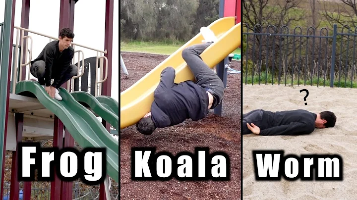 How Animals Go Down a Slide (Part 1-3) (Funny Compilation)