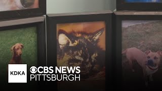 Lawsuit filed against man accused of dumping thousands of pets meant to be cremated