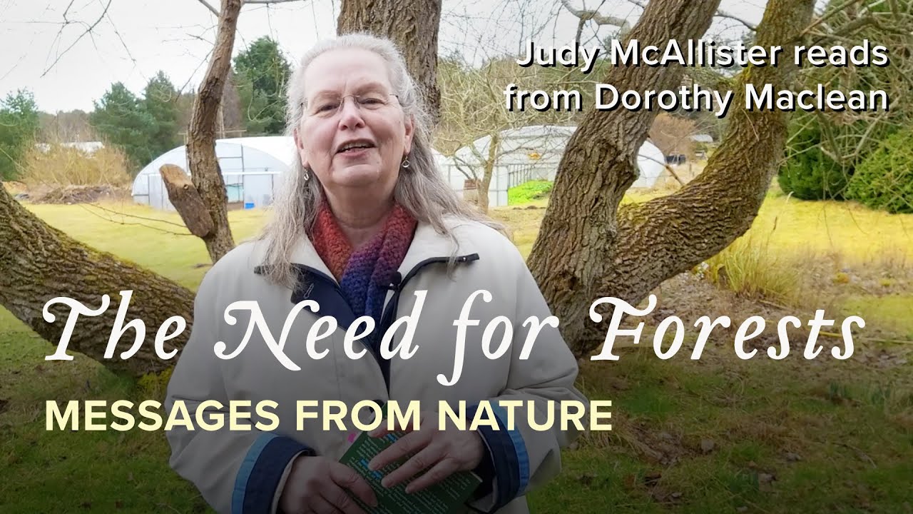 Co-Creating a New Earth, Judy McAllister - Messages from Nature