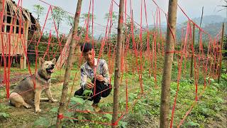 Nam built a trellis for the vegetable garden and cooked a delicious meal with Mun