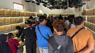 PROMO HARI MINGGU !!! BURUNG CENDET - KACER - JALAK - PARKIT - CIGUN - PRENJAK DLL