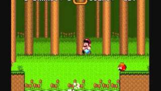 SMW Custom Music - Track 239 (Pikmin - The Forest Naval)