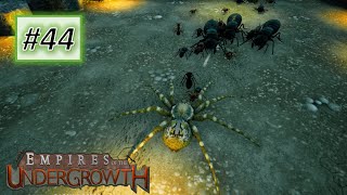 Empires of the Undergrowth #44: Secret Game Mode - A Hungry Spider (No Commentary) screenshot 5