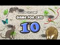 【猫用動画MIX10】もぐら・ねずみ・ひも30分 GAME FOR CATS 10