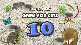 【猫用動画MIX10】もぐら・ねずみ・ひも30分 GAME FOR CATS 10