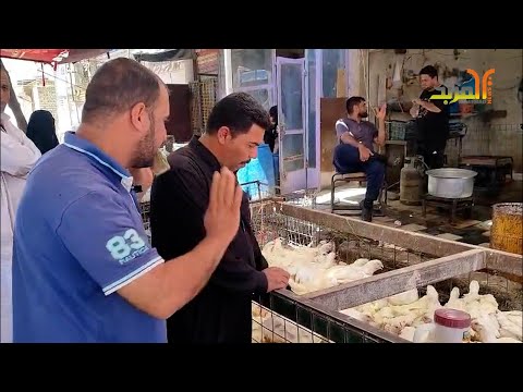 كاميرا المربد ترصد حركة سوق الدجاج في الناصرية