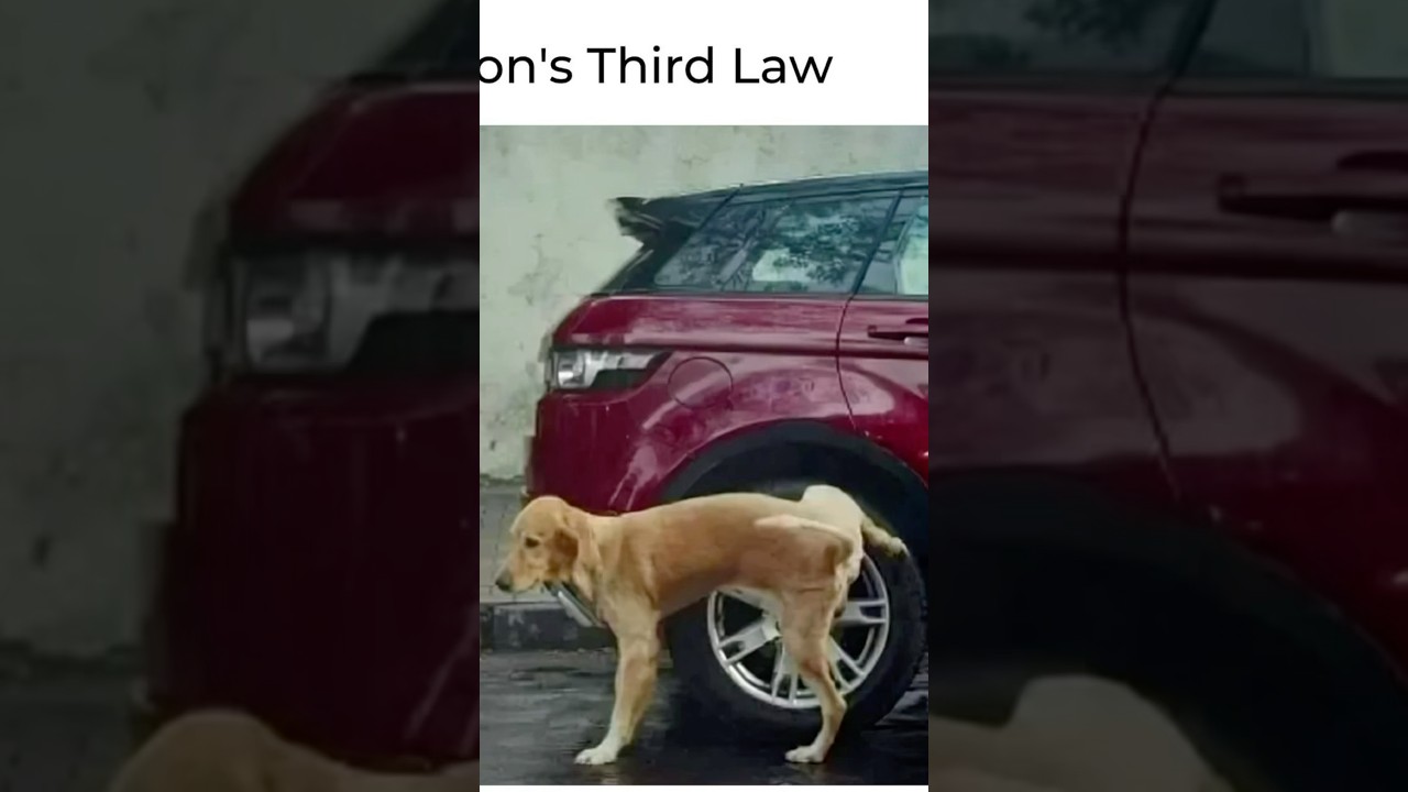 DON’T CLICK THE SOUND 🗿 