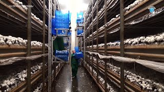 Курян приглашают работать на 