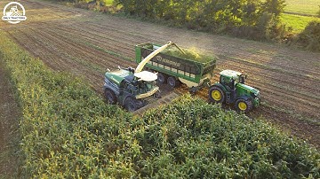 NEW KRONE BIG X 1180 & DIRECT DISC | SORGHUM SILAGE | 4K