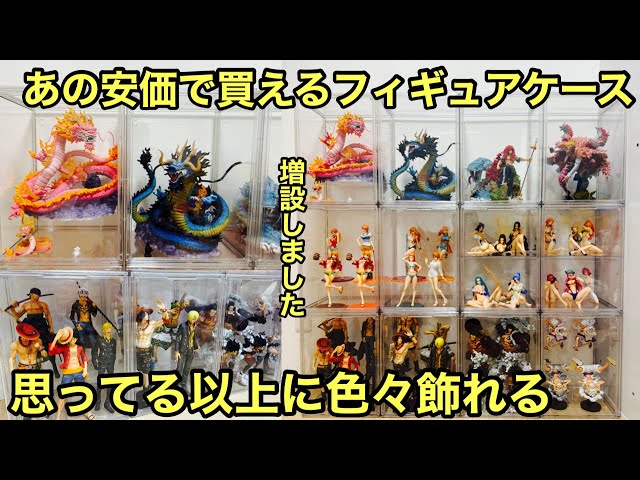 ワンビースフィギュア＆コレクションケース Amazon.co.jp: 専用 フィギュアケース ONE PIECE ワンピース ログ