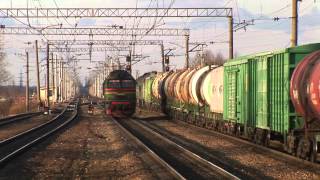 [RZD] 15 minutes at Kobralovo station: TEP70BS-180, 2TE116U-0119, M62-1578, 2TE116-1496