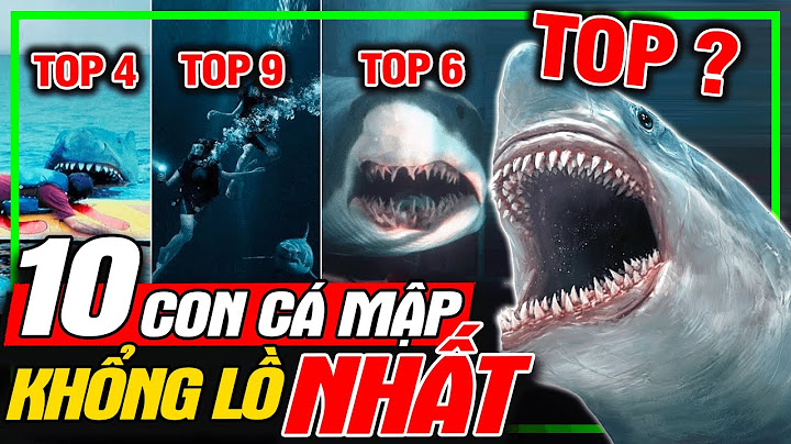 Top 10 loai ca map to nhat the gioi năm 2024