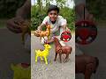 RC Remote Control Two Small Deer With Horse Unboxing 🔥