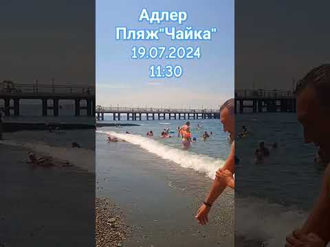 Погода в Адлере здесь и сейчас#на пляже 'Чайка'🏖#море и волны🌊Все купаются 🏊♂️