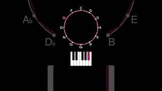 Celebrity Rotating a Hendecagon on the Circle of Fifths Profile