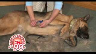 Andis Dog Grooming Deshedding / Andis Animal Clippers