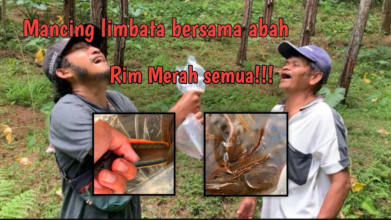 ⁣Edisi berburu limbata di Hutan bersama Mbah Parjes Viral XNXX India!!!