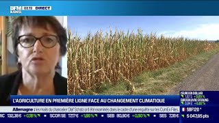 Christiane Lambert (FNSEA) : L'agriculture en première ligne face au changement climatique