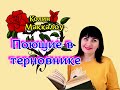 🌹ПОЮЩИЕ В ТЕРНОВНИКЕ // Колин Маккалоу//ОБЗОР📚✨