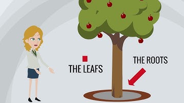 Instructions Liquid Fertilizer Dosage Root and foliar application - GREEN24 fertiliser NPK manual