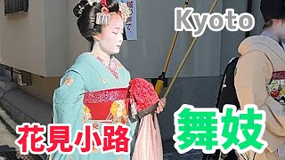 外国人観光客だらけの中、祗園花見小路を舞妓が往くMaiko  Kyoto🇯🇵Japan👘👘👘