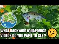 Backyard Aquaponics Video Suggestions? &amp; Chilly Morning Update