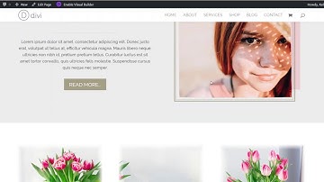 Savvy - Child Theme for Divi Installation Walkthrough