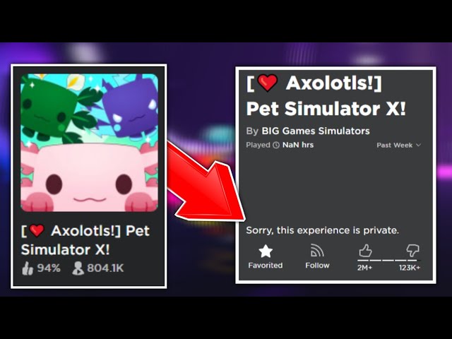 RBXGLeaks 💧 on X: I HAVE DECIDED to make a pet sim x winter concept game  for you guys to play! took around a hour or so to make it make sure