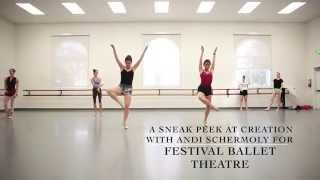 Timelapse by Andrea Schermoly - Festival Ballet Theatre Preview